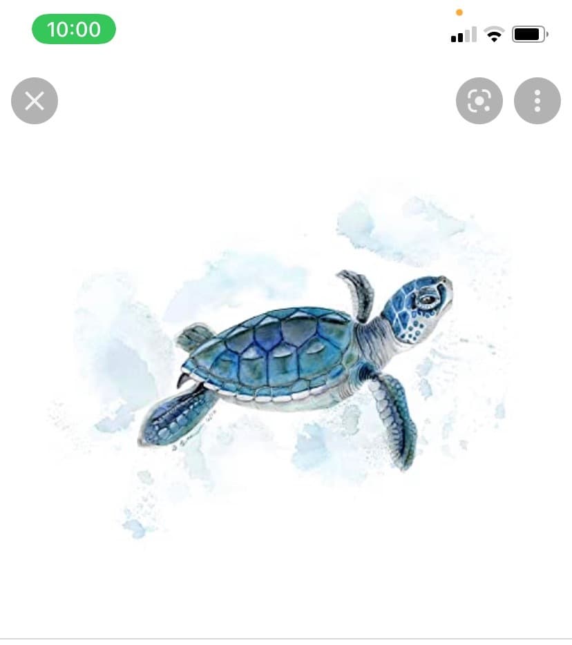 FatFreddy banner image