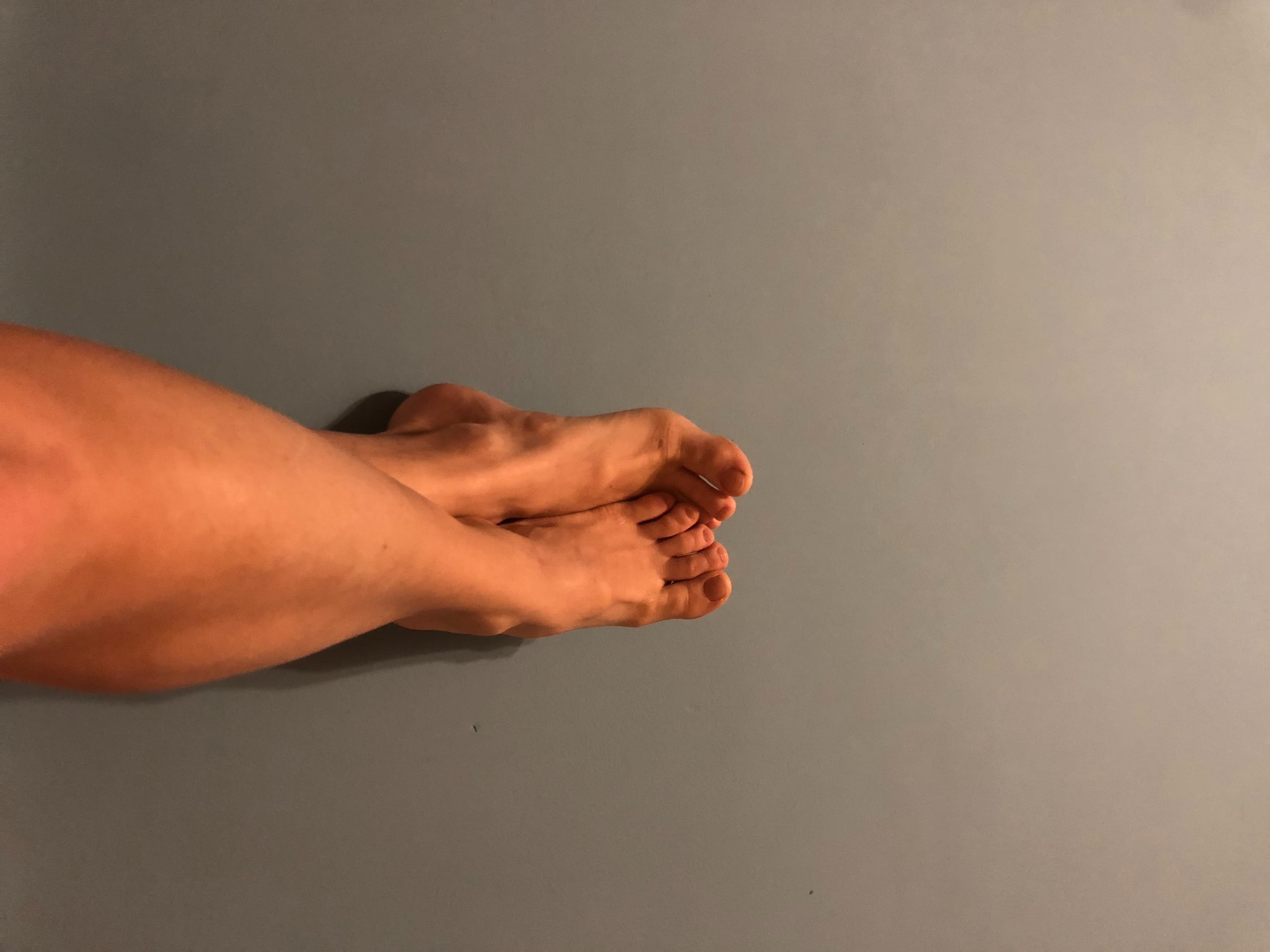 Fibi-feet banner image
