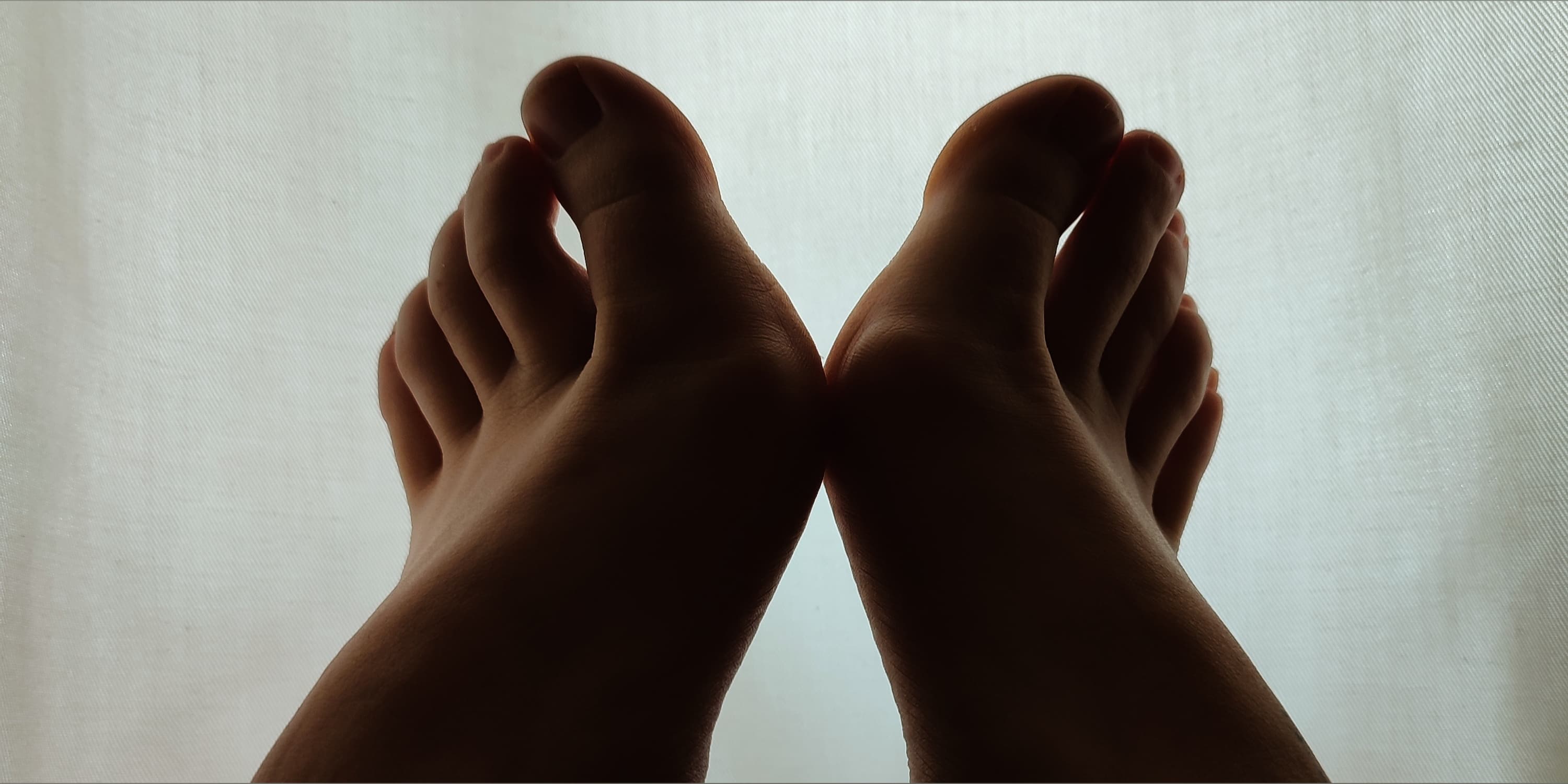 Fleur banner image