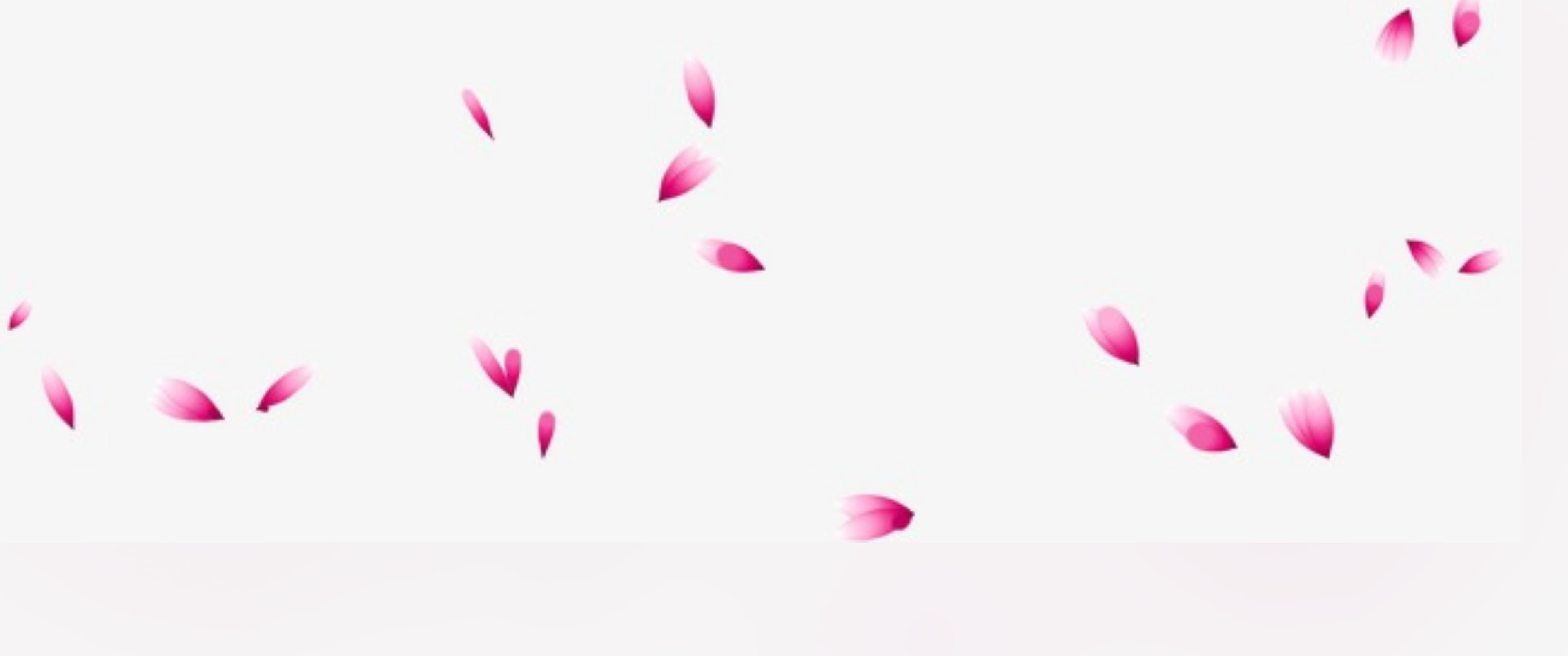 Luna banner image