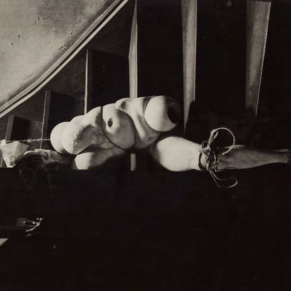 Actrise banner image