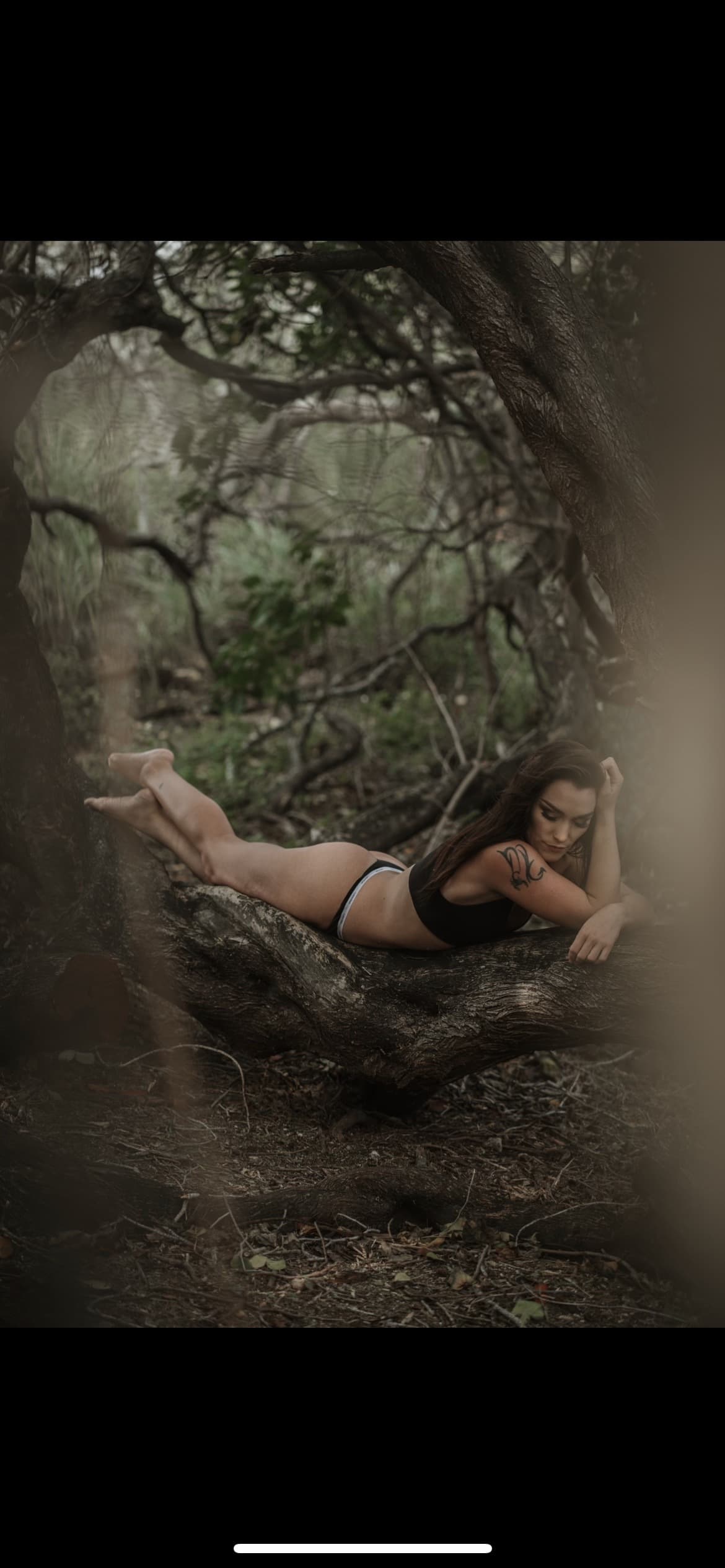 Ms Shelby banner image