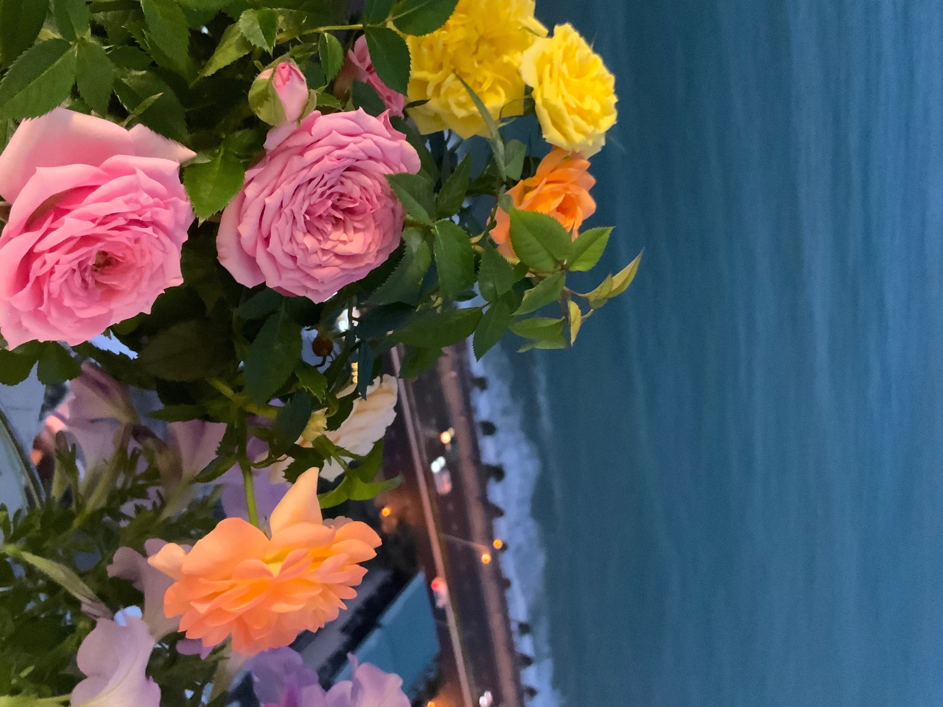 Lisa Love banner image