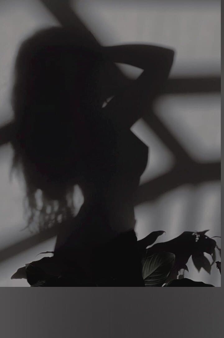 velvet.muse.diary banner image