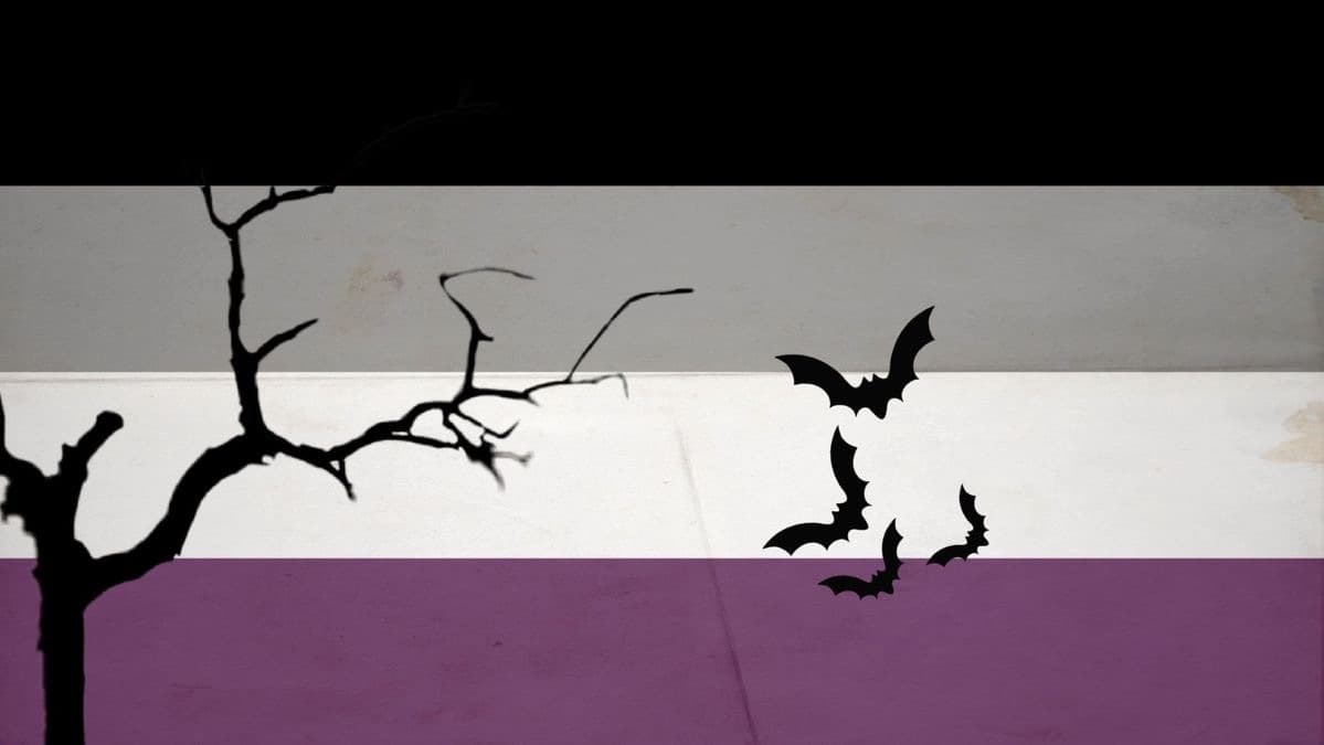 Anime Cat Girl banner image