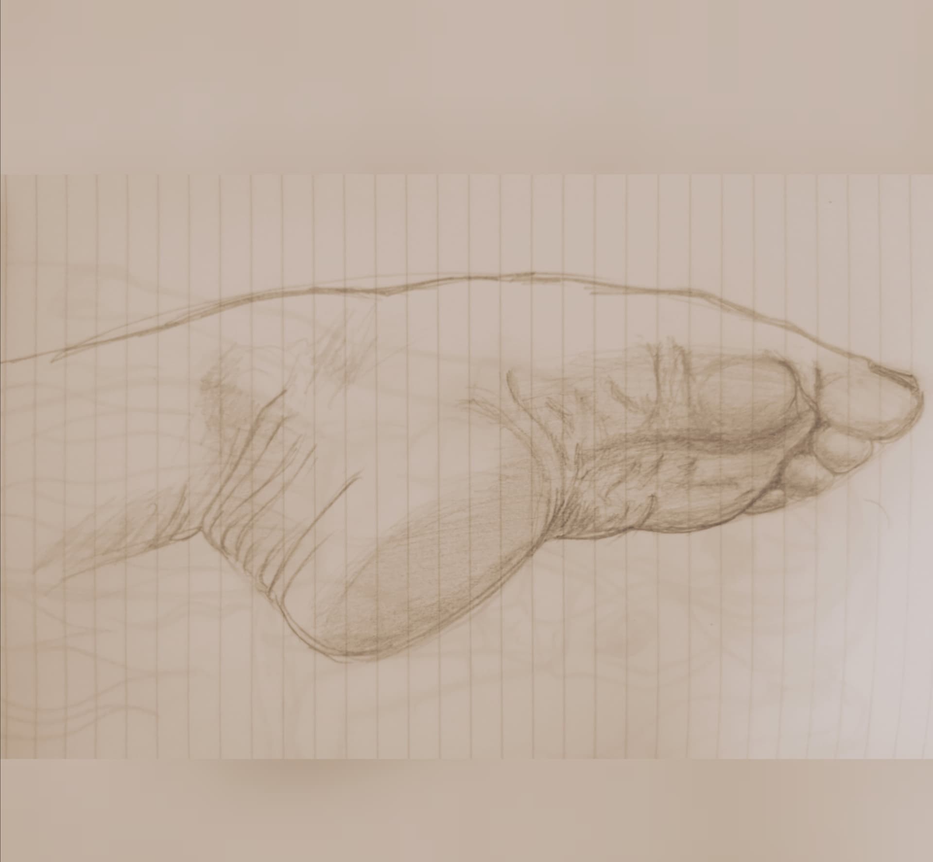 Marilyn's feet banner image