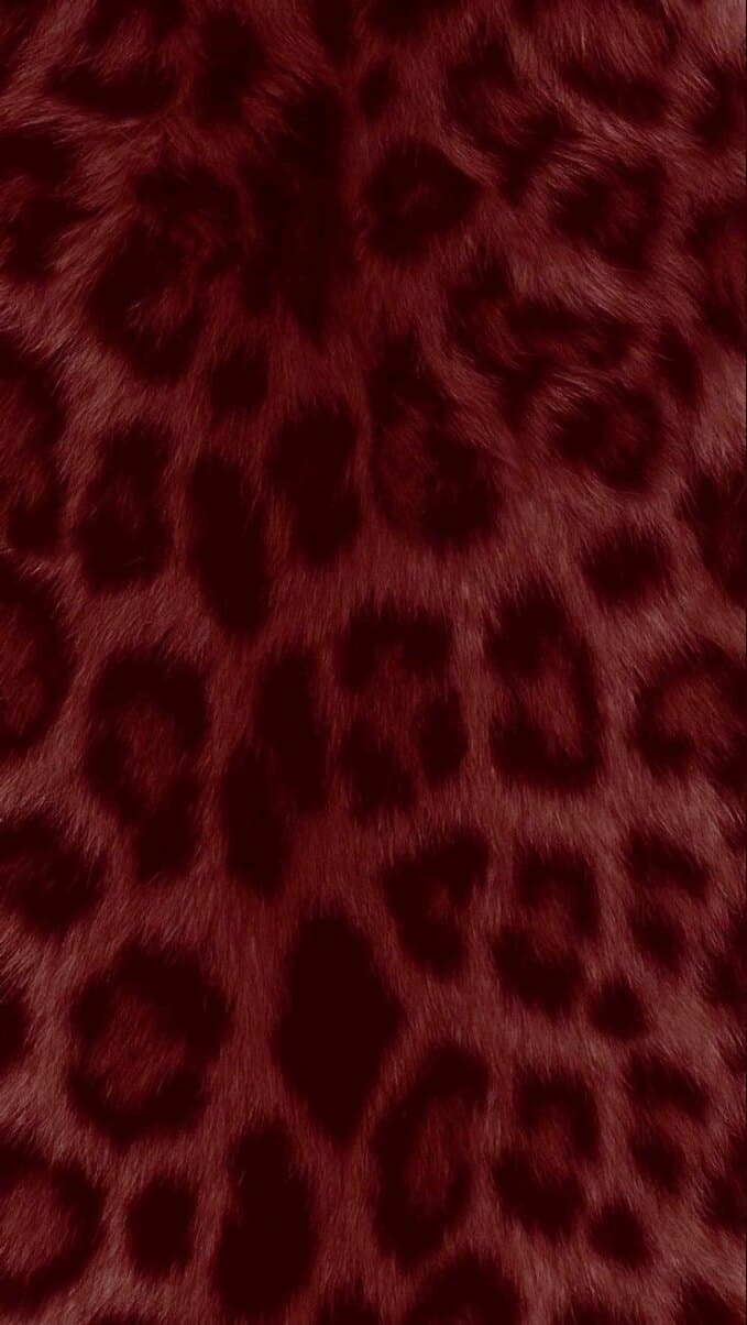 Kuntt banner image
