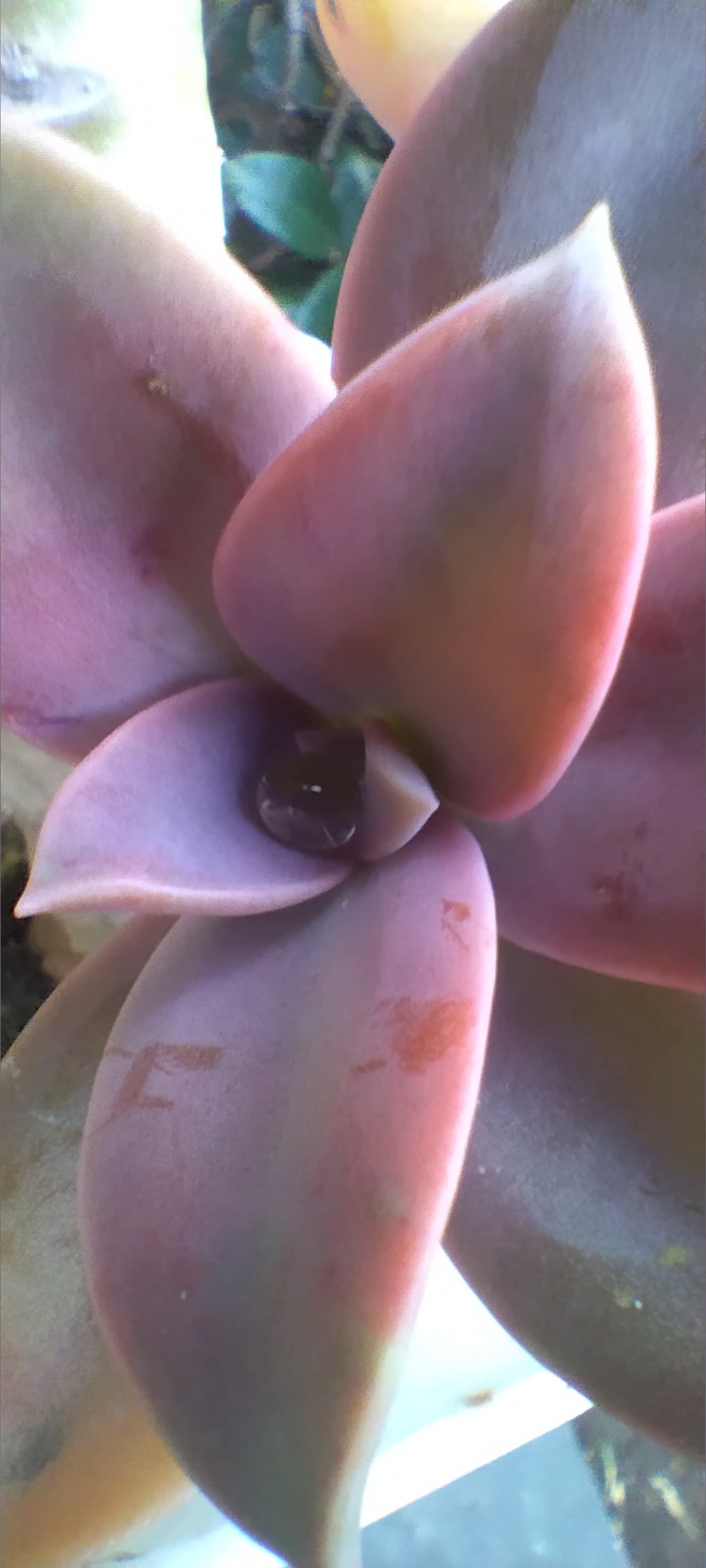 AngieCakes😶🌫️ banner image