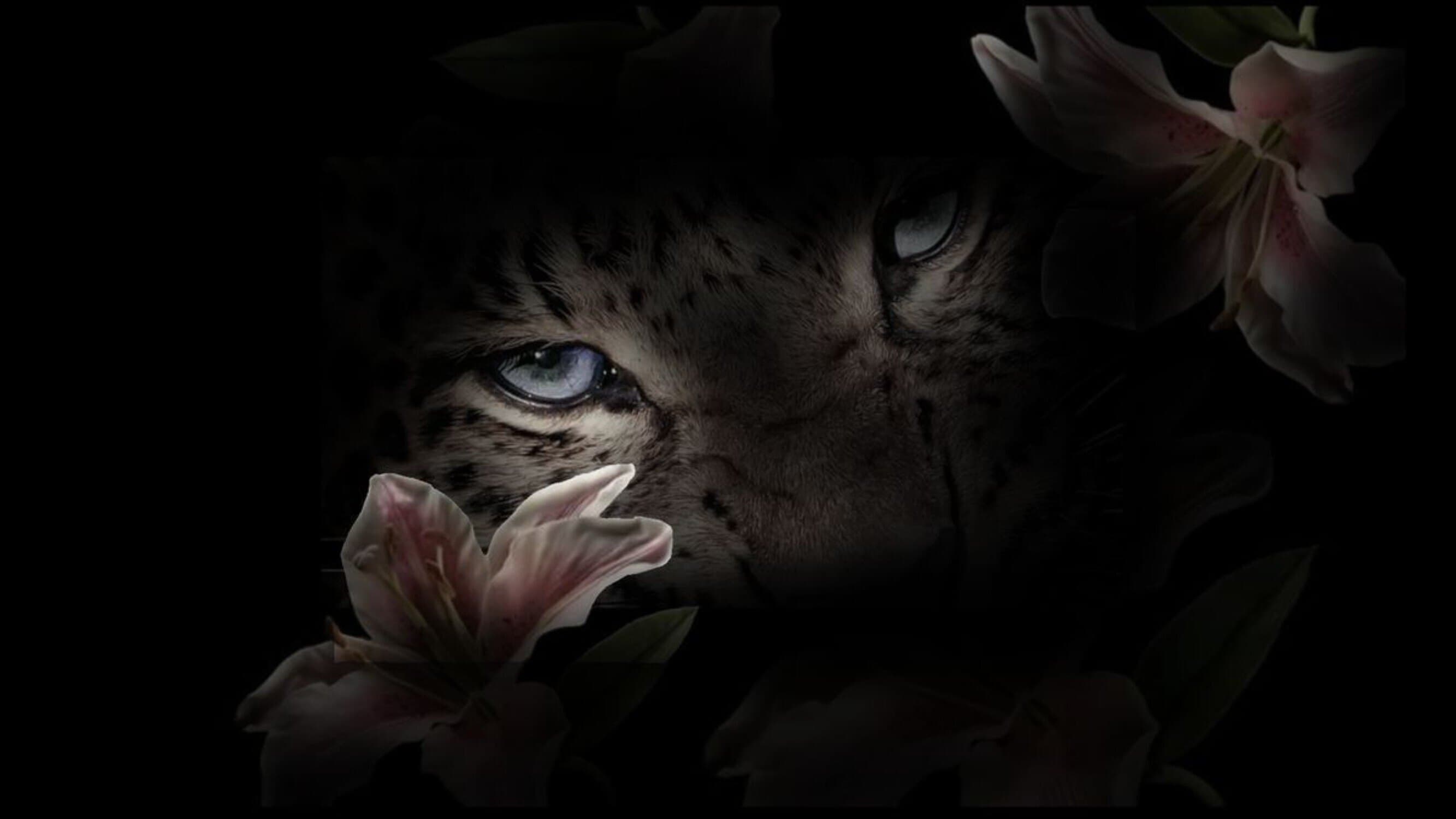 That1CheetahGirl banner image