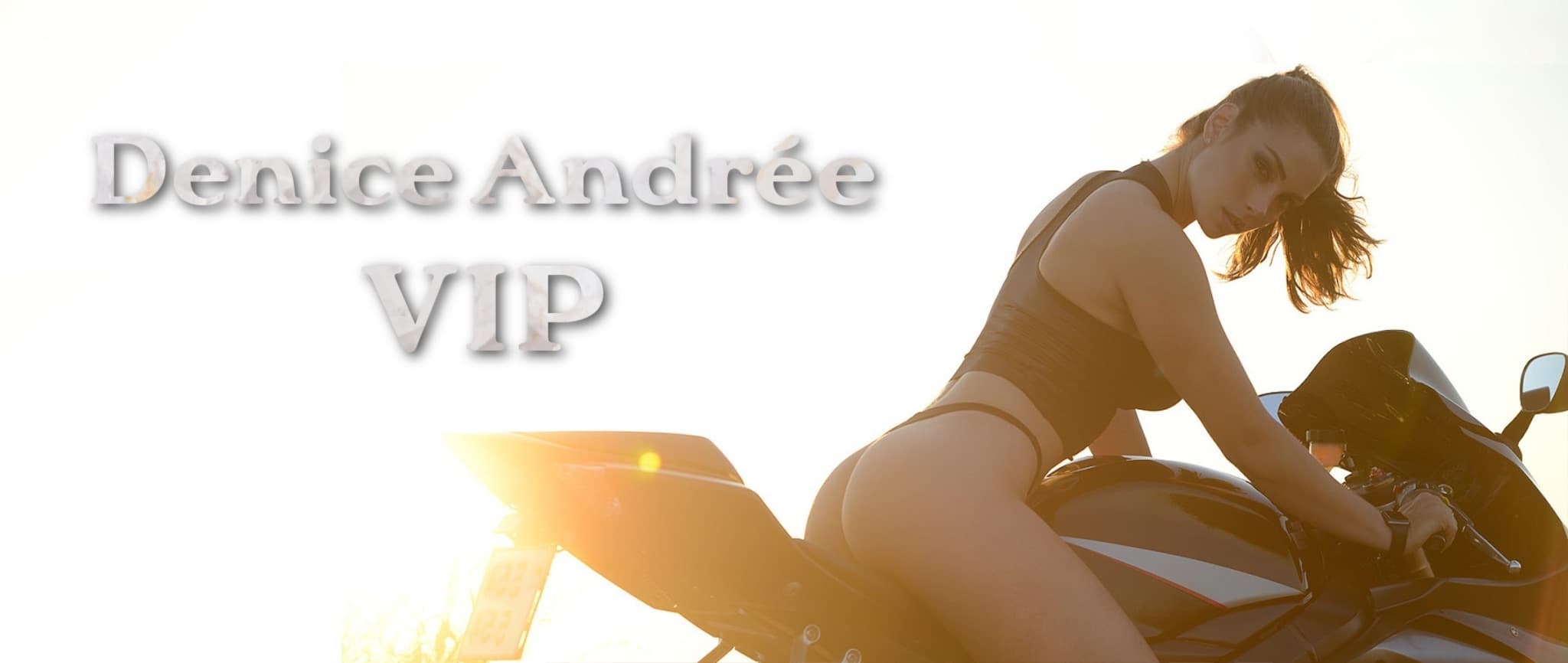 Denice Andrée banner image