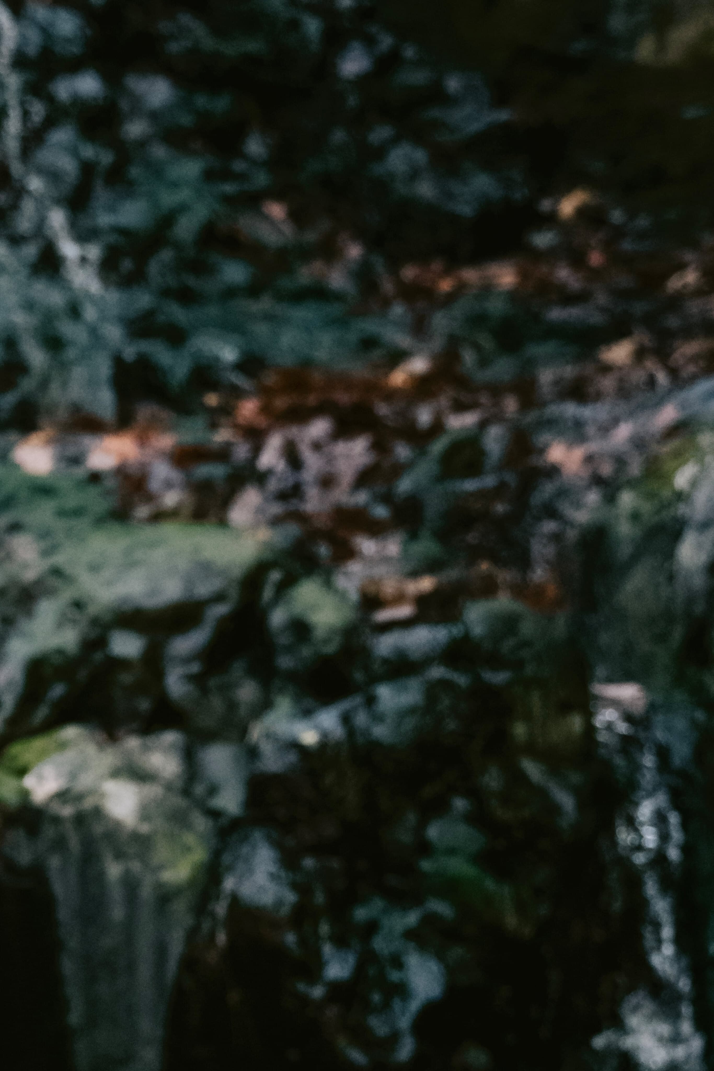 Ms.Thunder banner image