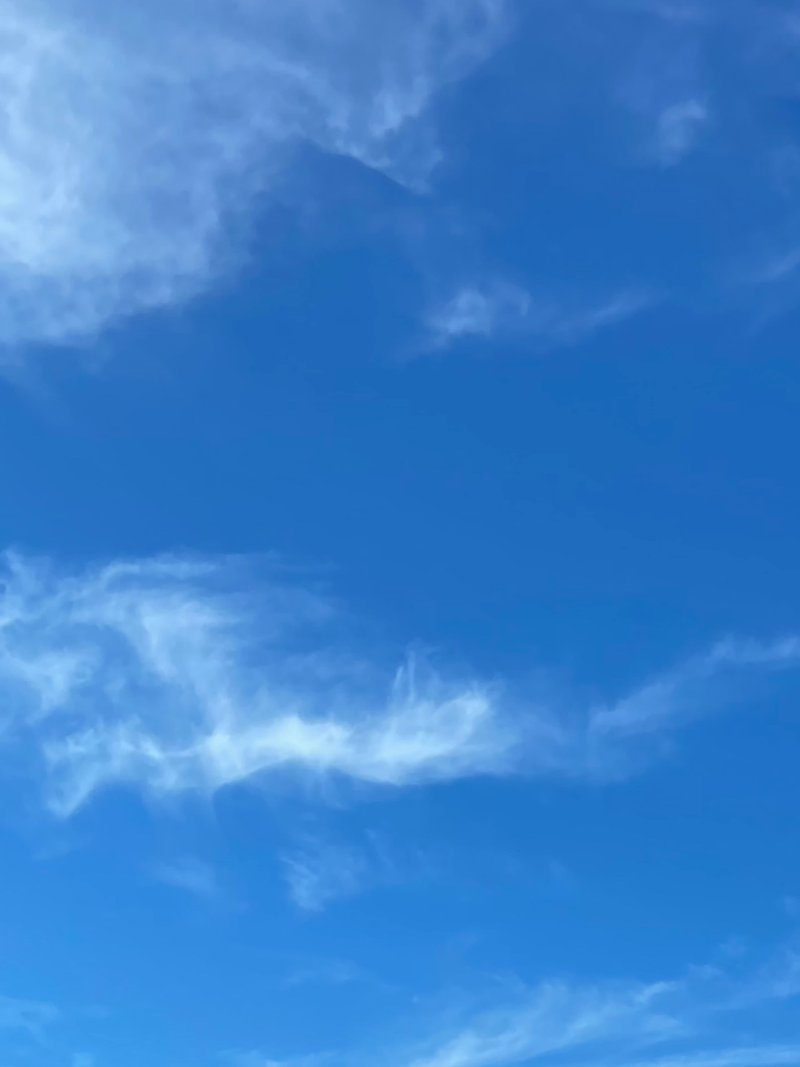 Goddess Belu banner image