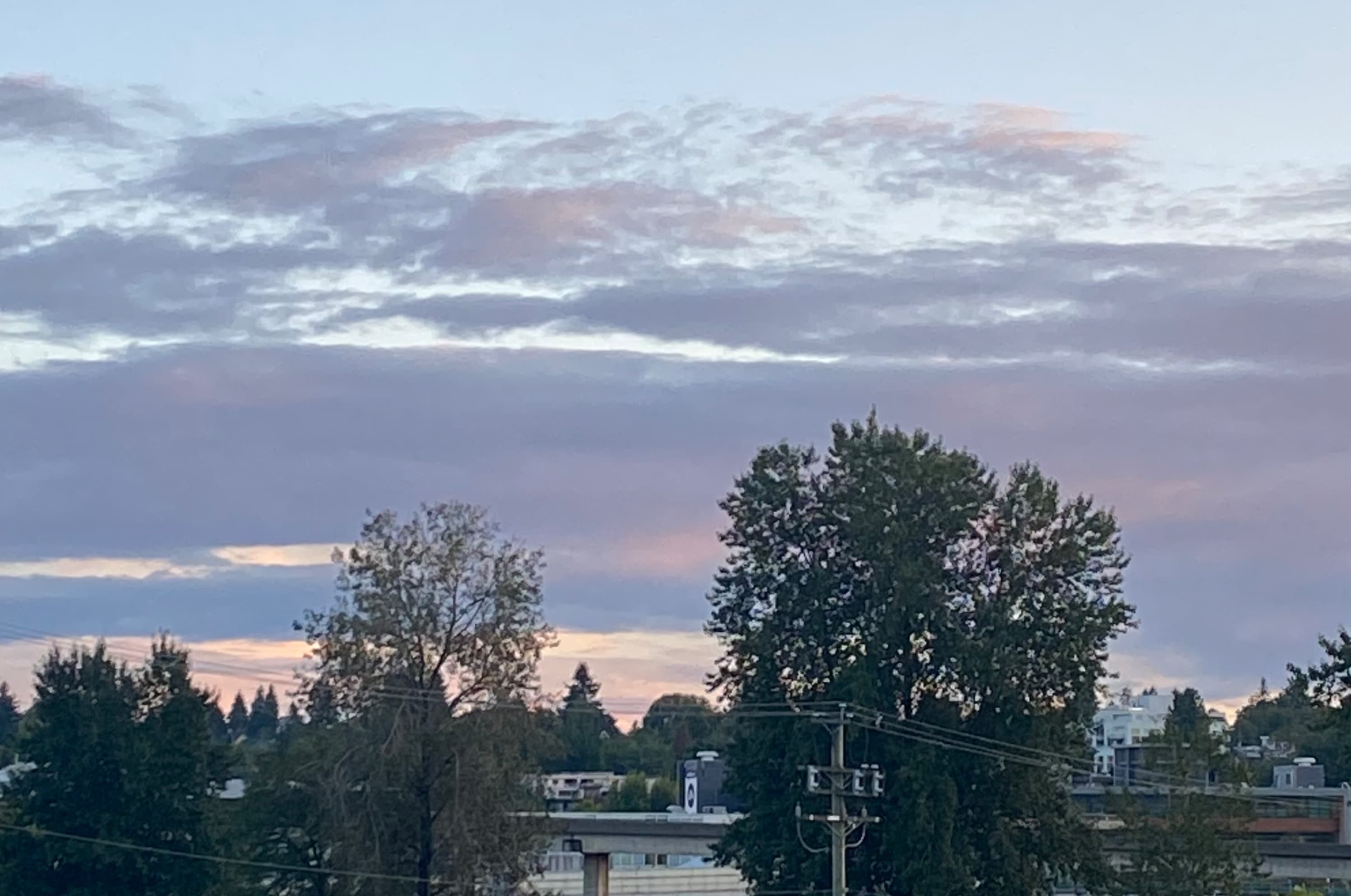 markus banner image