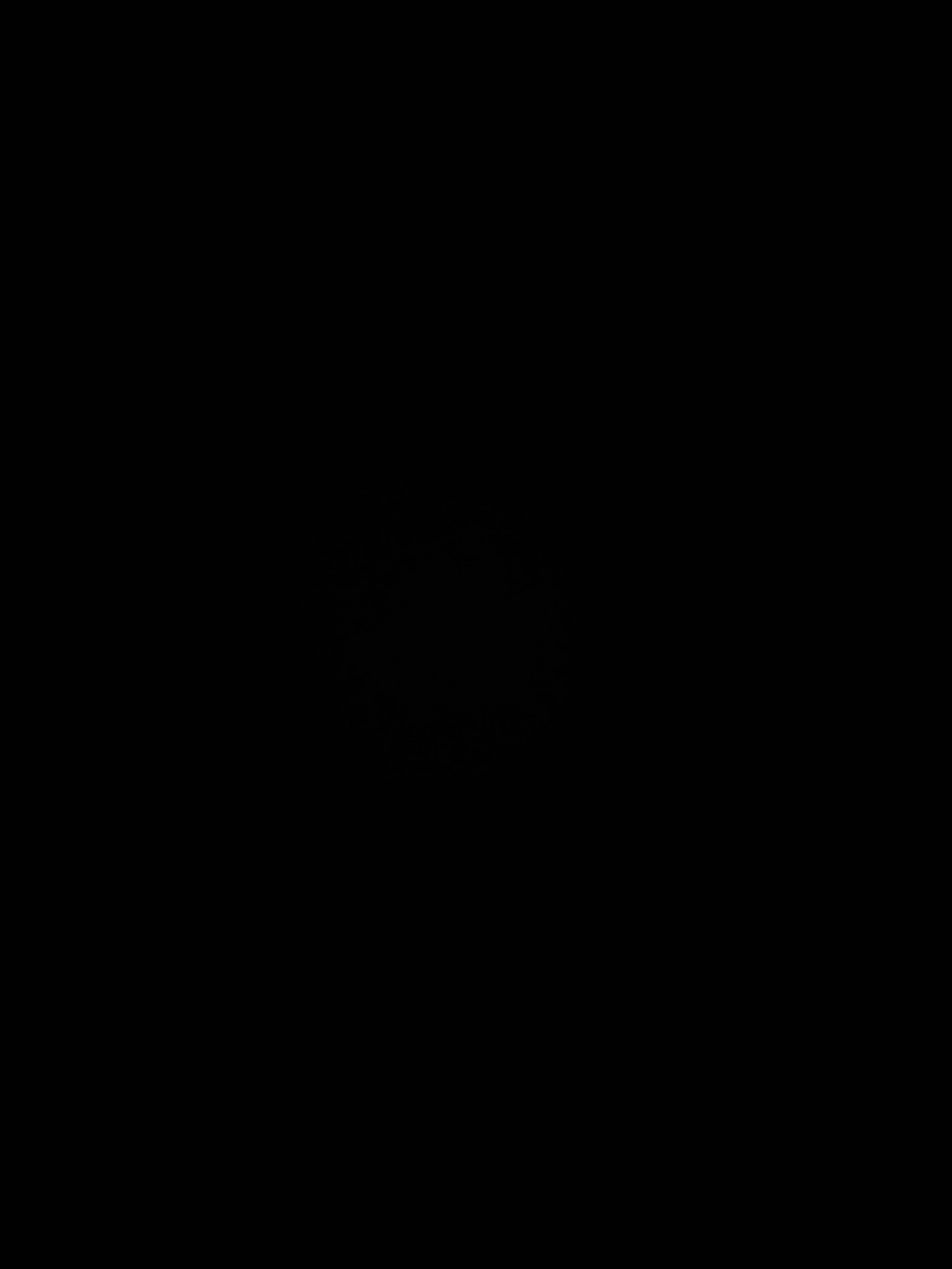 Ryokusei banner image
