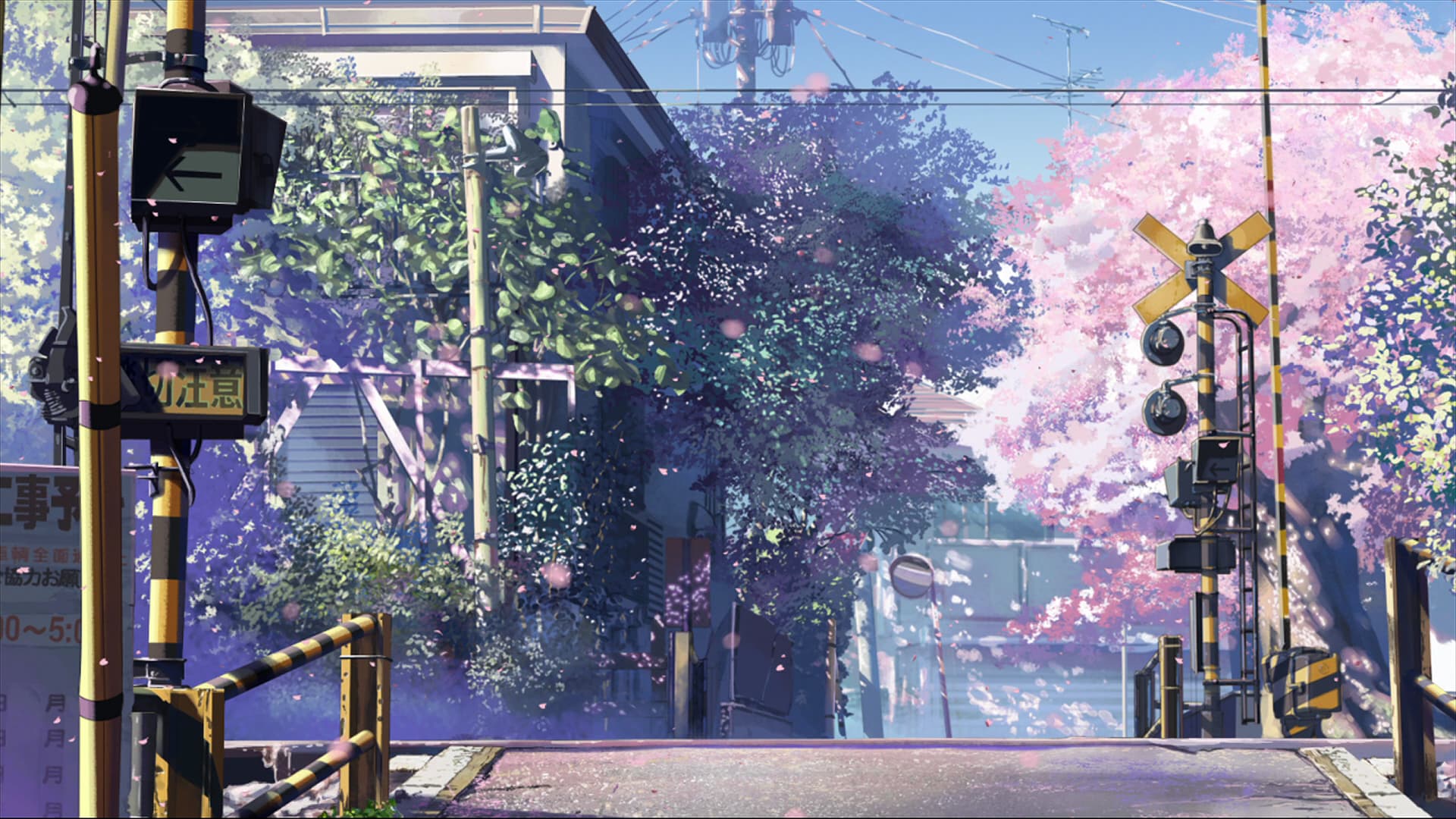Haru banner image