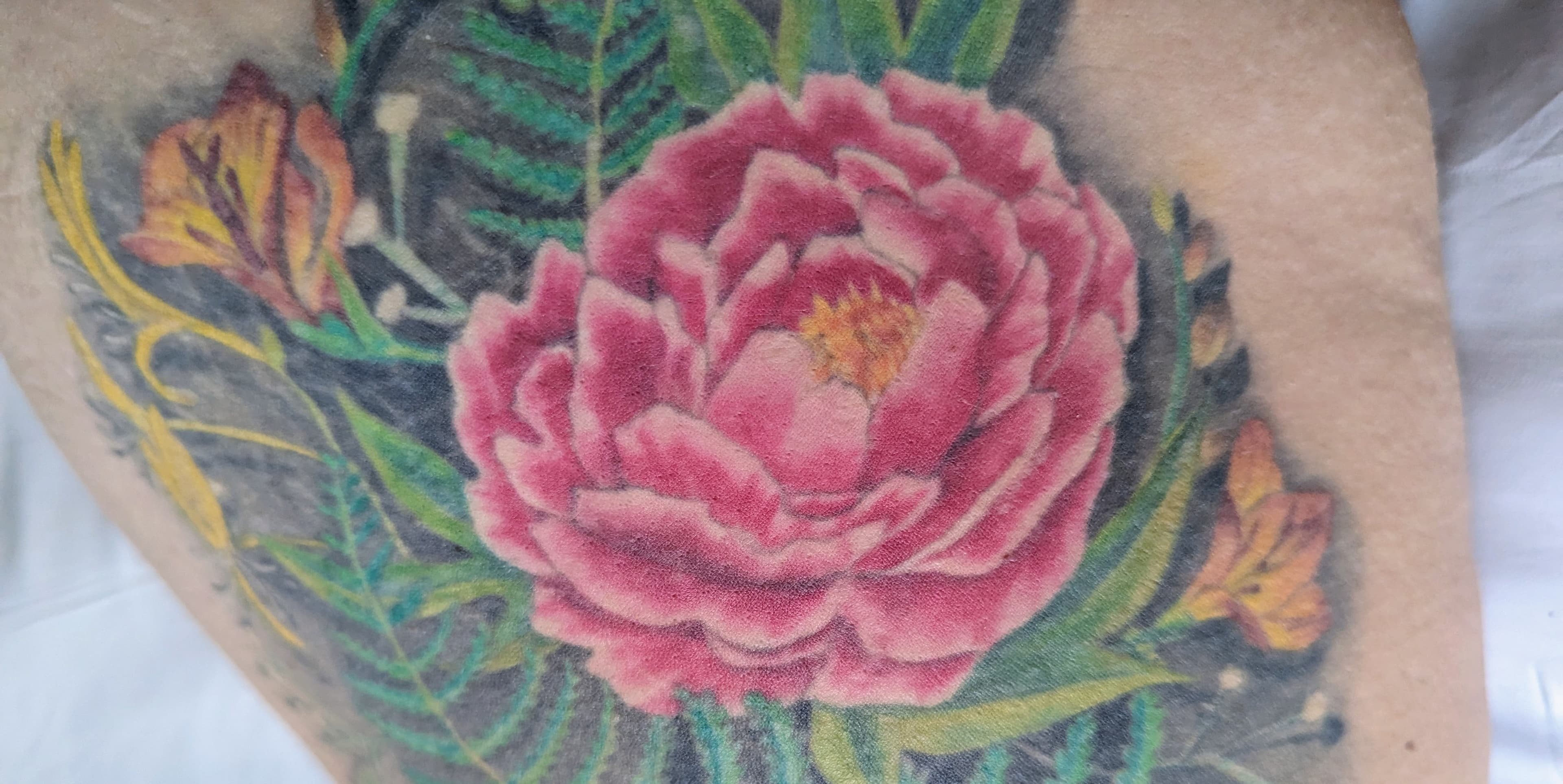 Peony banner image