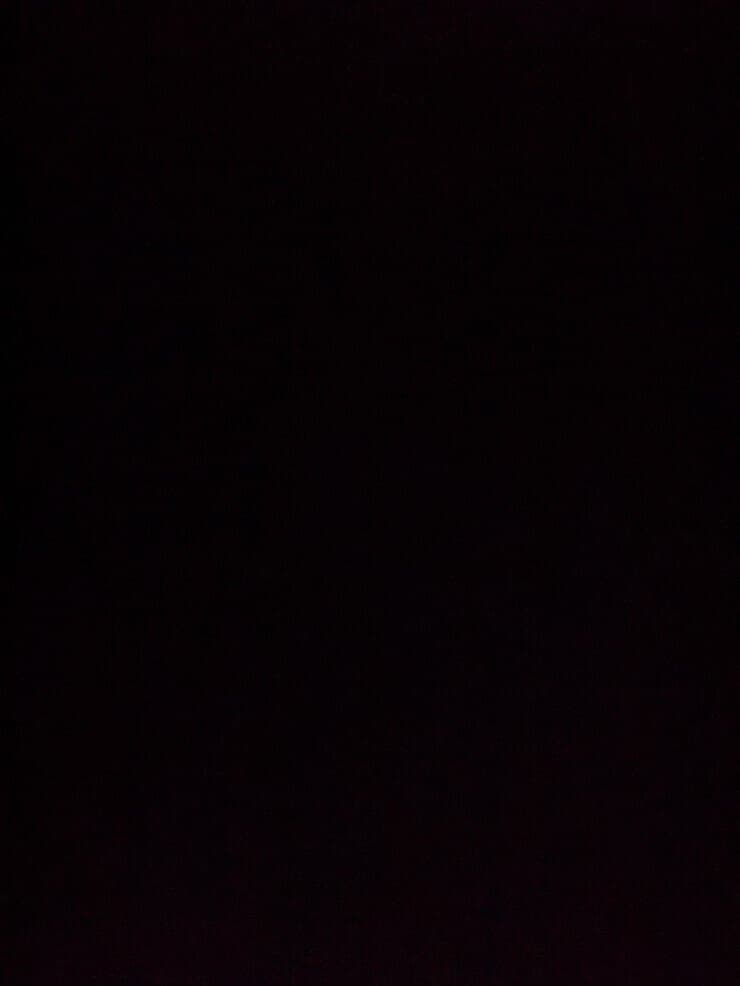 猴猴的毛腿 banner image