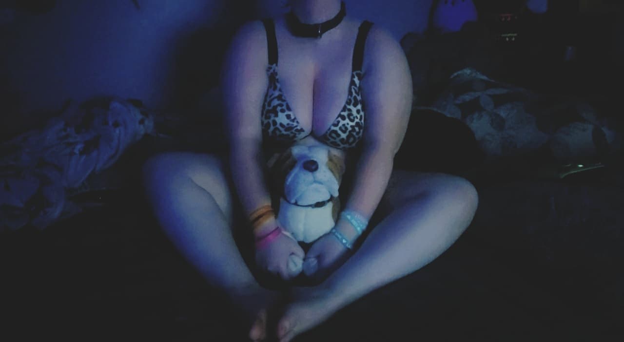 PlushPuppie banner image